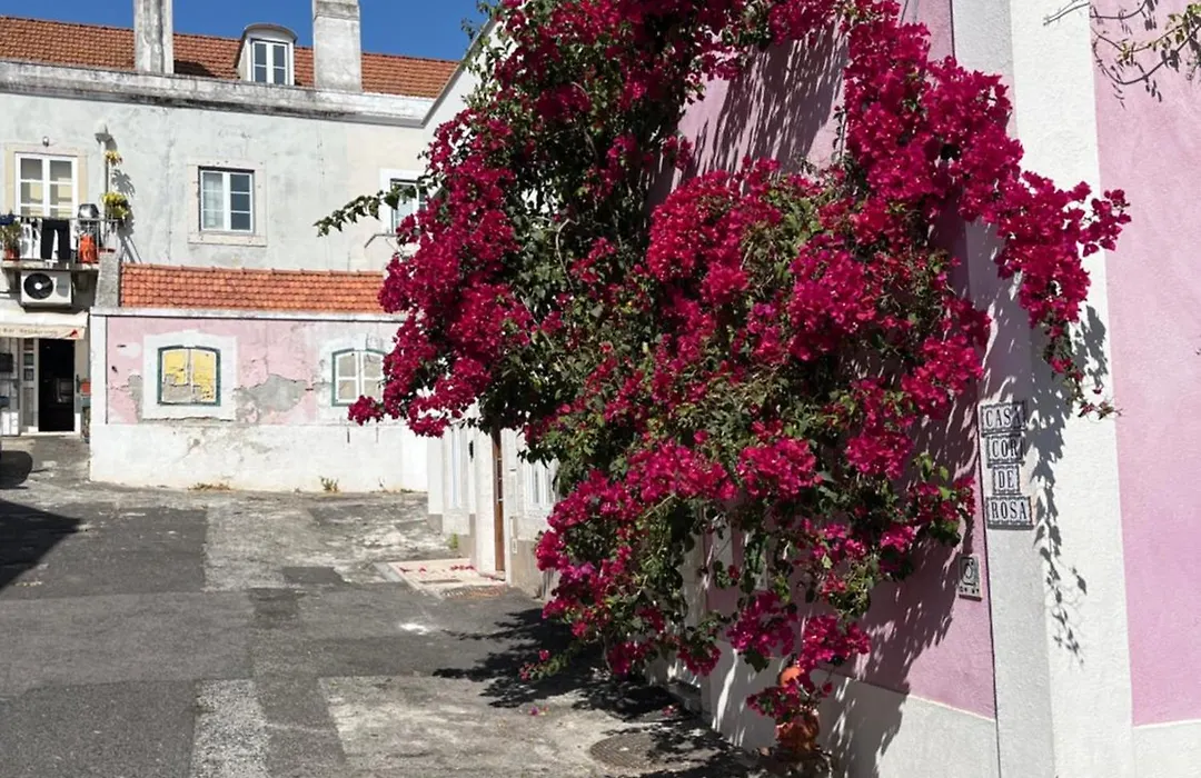 Casa Cor De Rosa-1